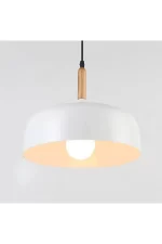 Moderli podvesnoy svetil nik v1270 1p augustina 1 e27 60w ut000017040 2