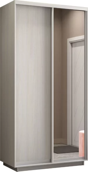 E1 shkaf kupe 2 kh dvernyy ye1 ekspress dsp zerkalo e1 1emd 120 sas 1