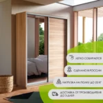 E1 shkaf kupe 2 kh dvernyy ye1 ekspress dsp zerkalo e1 45emd 120240 s 24