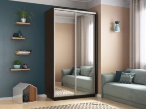 E1 shkaf kupe 2 kh dvernyy ye1 ekspress khit zerkala e1 hex v 24