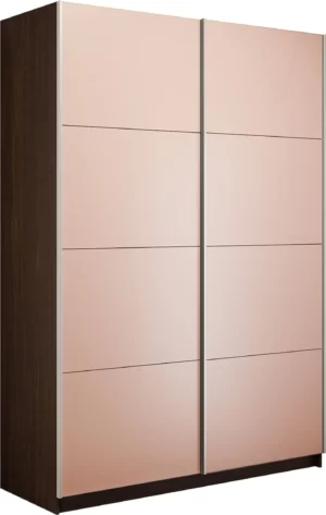 E1 shkaf kupe praym 2 kh dvernyy stekla pudra dovodchiki venge e1 pssp 120 v 30