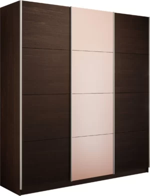 E1 shkaf kupe praym 3 kh dvernyy stekla pudra dsp dovodchiki venge e1 pdspd 210 v 24