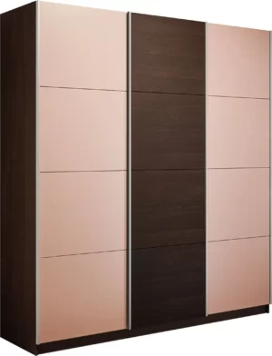 E1 shkaf kupe praym 3 kh dvernyy stekla pudra dsp dovodchiki venge e1 pspdsp 210 v 24