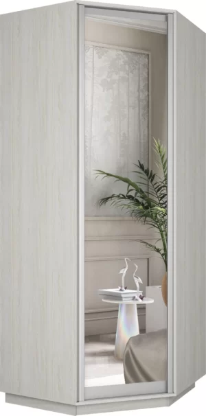 E1 shkaf uglovoy raspashnoy ye1 ekspress e1 uwe sas 1