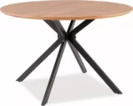 Signal stol obedennyy aster 120 asterdcfi120 4