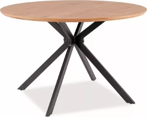 Signal stol obedennyy aster 120 asterdcfi120 4