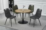 Signal stul kukhonnyy aloe aloemicsz 6