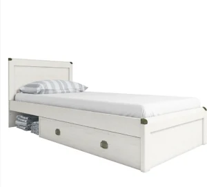 Anrex 2838