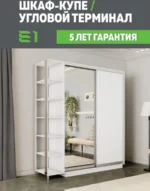 E1shkaf kupe e1 ekspress ut 2 h dvernyj dsp zerkalo belyj sneg1 0