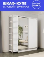 E1shkaf kupe e1 ekspress ut 2 h dvernyj dsp zerkalo belyj sneg1 1