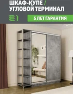 E1shkaf kupe e1 ekspress ut 2 h dvernyj dsp zerkalo beton1 0