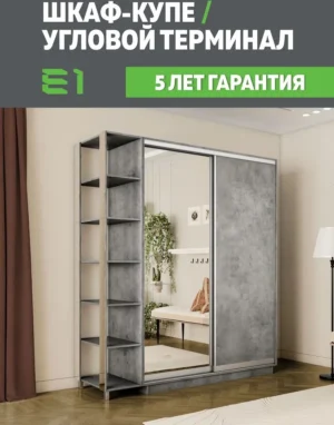E1shkaf kupe e1 ekspress ut 2 h dvernyj dsp zerkalo beton1 0
