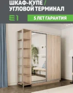 E1shkaf kupe e1 ekspress ut 2 h dvernyj dsp zerkalo sonoma1 2