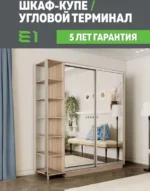 E1shkaf kupe e1 ekspress ut 2 h dvernyj zerkala sonoma1 1