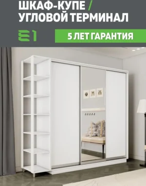 E1shkaf kupe e1 ekspress ut 3 h dvernyj dsp zerkalo belyj sneg1 0