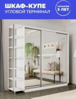 E1shkaf kupe e1 ekspress ut 3 h dvernyj zerkala belyj sneg1 2