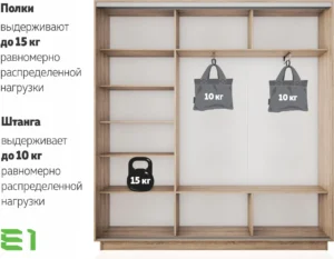 E1shkaf kupe e1 ekspress ut 3 h dvernyj zerkalo dsp sonoma1 0