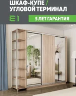 E1shkaf kupe e1 ekspress ut 3 h dvernyj zerkalo dsp sonoma1 1