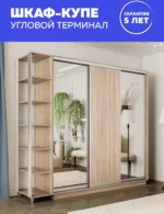 E1shkaf kupe e1 ekspress ut 3 h dvernyj zerkalo dsp sonoma1 3