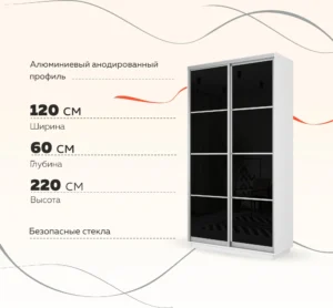 E1shkaf kupe e1 loyal 2 h dvernyj steklo chernoe belyj sneg1 0
