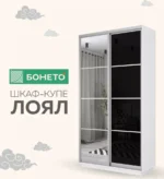 E1shkaf kupe e1 loyal 2 h dvernyj steklo chernoe zerkalo 24745d1 2
