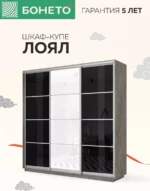 E1shkaf kupe e1 loyal 3 h dvernyj steklo chernoe steklo b 4c02491 1