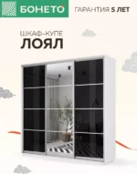 E1shkaf kupe e1 loyal 3 h dvernyj steklo chernoe zerkalo 654da71 2