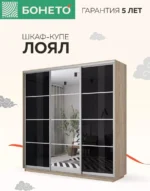 E1shkaf kupe e1 loyal 3 h dvernyj steklo chernoe zerkalo sonoma1 1