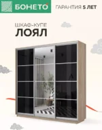 E1shkaf kupe e1 loyal 3 h dvernyj steklo chernoe zerkalo sonoma1 3