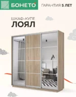 E1shkaf kupe e1 loyal 3 h dvernyj zerkalo dsp sonoma1 2