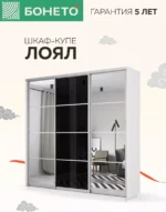 E1shkaf kupe e1 loyal 3 h dvernyj zerkalo steklo chernoe 29bf051 2