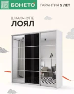 E1shkaf kupe e1 loyal 3 h dvernyj zerkalo steklo chernoe 29bf051 5