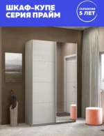 E1shkaf kupe e1 prajm 2 h dvernyj dsp zerkalo dovodchiki e1863d1 1