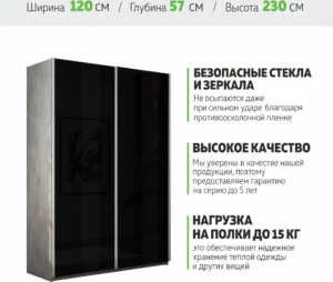 E1shkaf kupe e1 prajm 2 h dvernyj steklo chernoe dovodchi 2d47311 0