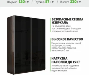 E1shkaf kupe e1 prajm 2 h dvernyj steklo chernoe dovodchi 6c9ad41 0