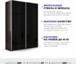 E1shkaf kupe e1 prajm 2 h dvernyj steklo chernoe dovodchi 6c9ad41 3
