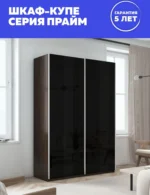 E1shkaf kupe e1 prajm 2 h dvernyj steklo chernoe dovodchi 6c9ad41 7