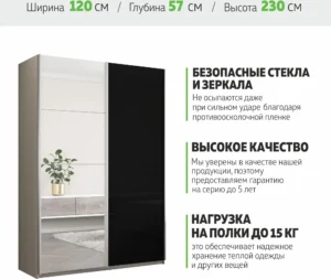 E1shkaf kupe e1 prajm 2 h dvernyj zerkalo steklo chernoe 1044d71 0