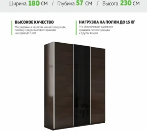 E1shkaf kupe e1 prajm 3 h dvernyj dsp steklo chernoe dsp e0aaf51 0
