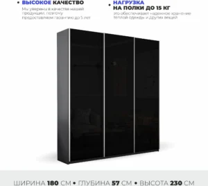 E1shkaf kupe e1 prajm 3 h dvernyj steklo chernoe dovodchi 38ddca1 0