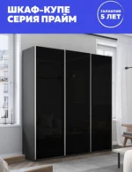 E1shkaf kupe e1 prajm 3 h dvernyj steklo chernoe dovodchi 38ddca1 3