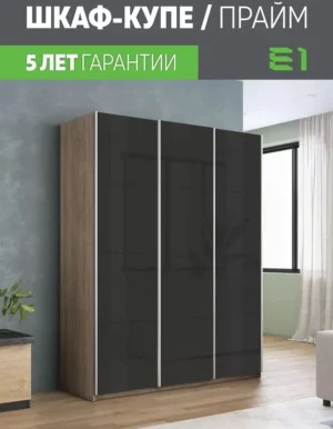 E1shkaf kupe e1 prajm 3 h dvernyj steklo chernoe dovodchi d617db1 0