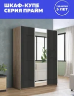 E1shkaf kupe e1 prajm 3 h dvernyj steklo chernoe zerkalo a325ad1 2