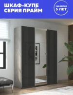 E1shkaf kupe e1 prajm 3 h dvernyj steklo chernoe zerkalo a704a61 5