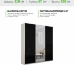 E1shkaf kupe e1 prajm 3 h dvernyj steklo chernoe zerkalo b059411 0