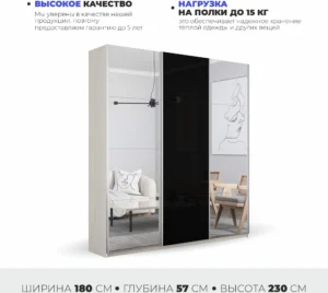 E1shkaf kupe e1 prajm 3 h dvernyj zerkalo steklo chernoe 4678631 0