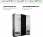 E1shkaf kupe e1 prajm 3 h dvernyj zerkalo steklo chernoe b634501 0