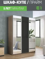 E1shkaf kupe e1 prajm 3 h dvernyj zerkalo steklo chernoe ecab2b1 1