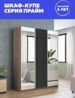 E1shkaf kupe e1 prajm 3 h dvernyj zerkalo steklo chernoe ecab2b1 2