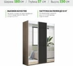 E1shkaf kupe e1 prajm 3 h dvernyj zerkalo steklo chernoe ecab2b1 3